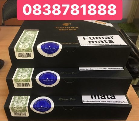 COHIBA BEHIKE COHIBA BEHIKE